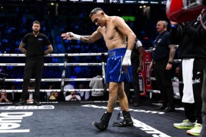 новости бокса