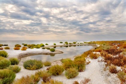 кинбурнская коса