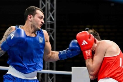 новини боксу